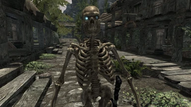 Summon Skeleton Guardian