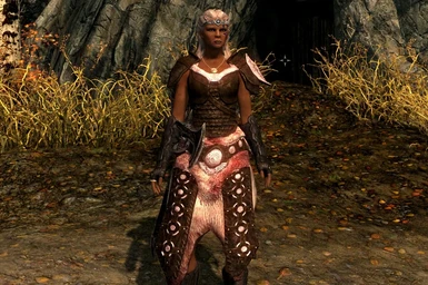 Pink scaled armor - female only