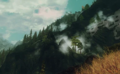 Mossy Green with Somber 3 Enb TYVM