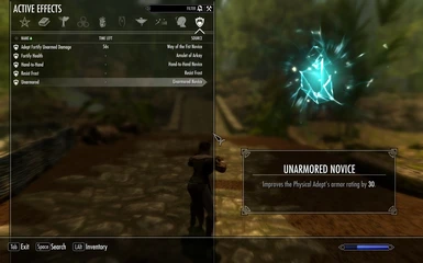 The Unarmored Ability applies when not using armor