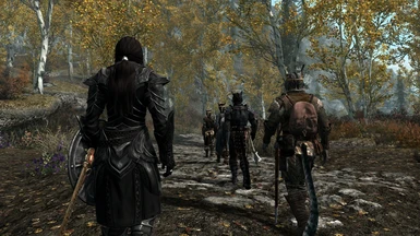 Traveling to Riften with friends