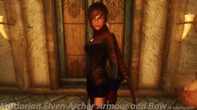 Noldorian Elven Archer Armour and Bow