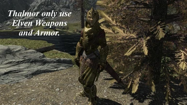 Thalmor only use Elven Weapons and Armor