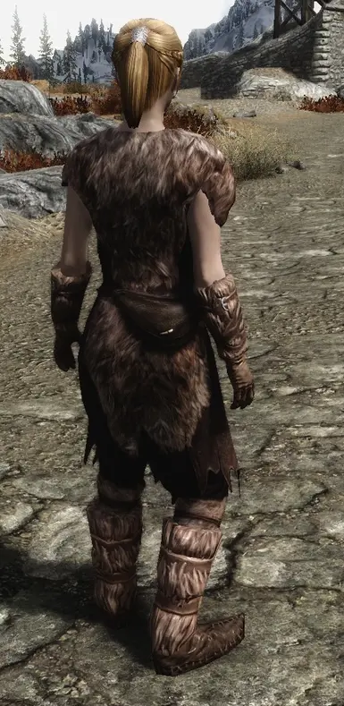 Skyrim bbp что это