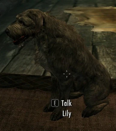 Dog-Lily