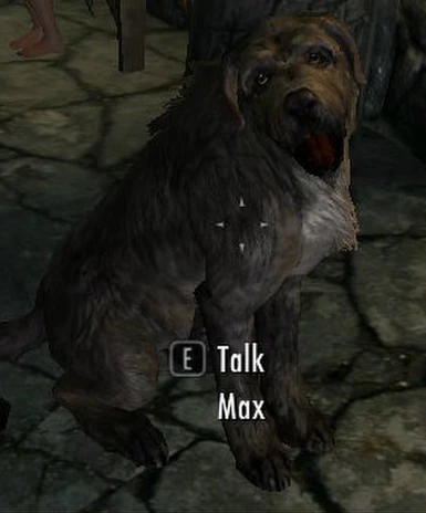 Dog-Max
