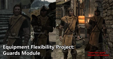 Equipment Flexibility Project - Guards Module