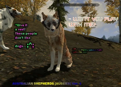 Australian Shepherd Version 1