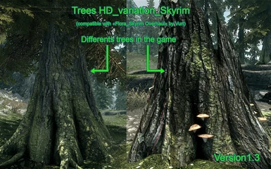 TreesHD_Skyrim_Variation