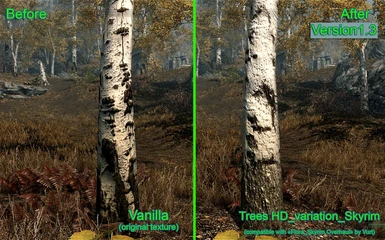 treeshd_variation013