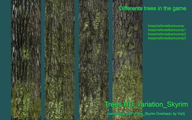 treeshd_variation002