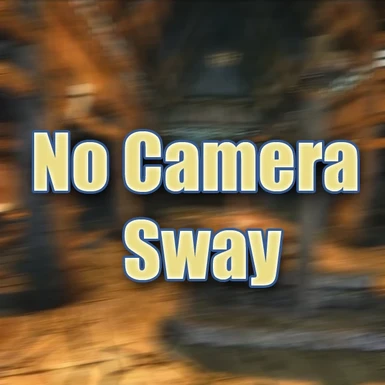 No Camera Sway