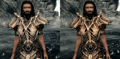 Tri-Metal Female Dragonbone armor vanilla and after in game