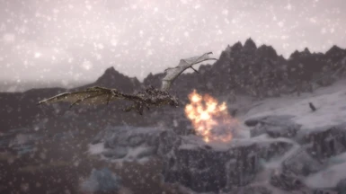 Snow dragon fire
