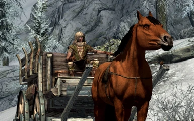 Windhelm horse - pulling your carriage