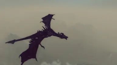 My favorite dragon shot - thank you