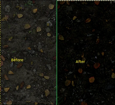 V0_3 Fall Forest Floor Before And After