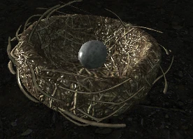 Old Chicken Nest