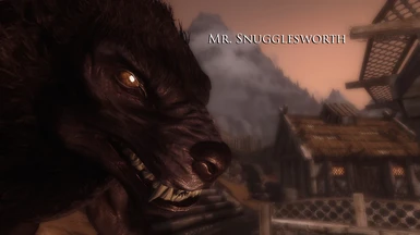 Mr Snugglesworth 1