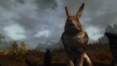 Enormous Hare 1