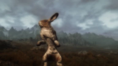 Enormous Hare 2