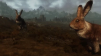 Enormous Hare 3
