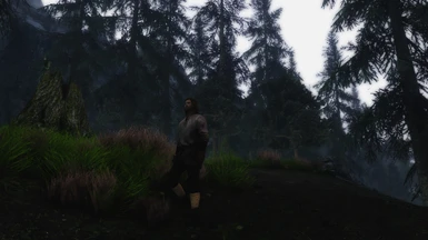 Surrounding Forest by Riverwood