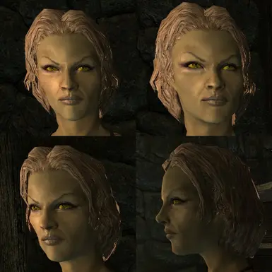 Mods to Improve Appearance of and Customise Your Skyrim Player Character -  HubPages