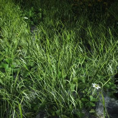 Mindflux Grass Textures - Field Grass