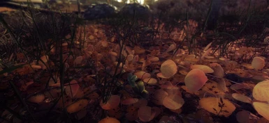Version 2 - 3D Aspen Leaves - Image by YourAverageGrunt
