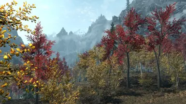 Skyrim Maples