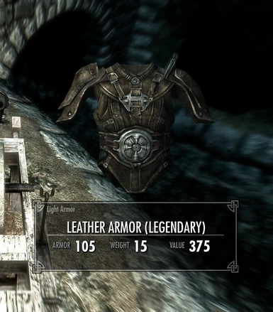 Legendary Leather Armor
