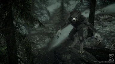 grey werewolf