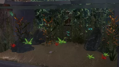 fishies