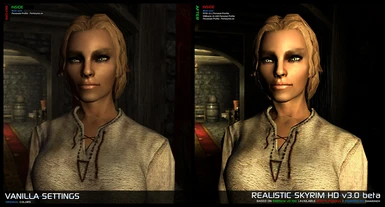 Realistic Skyrim HD v3-0 Profile - Portrait Compare 1