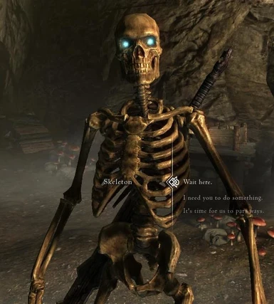 necromancer skeleton follower
