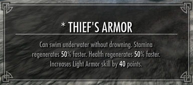 Thief Armor