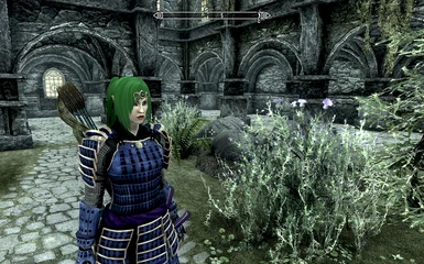 Reiko armor color variations - Blue with Purple or Black