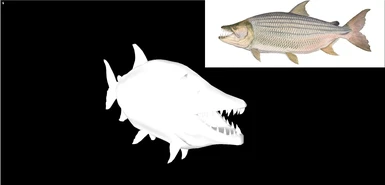 Fish model and reference pic