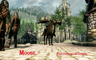 Moose in Oblivion