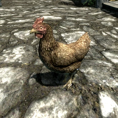 Polymorph NPC into a Chicken