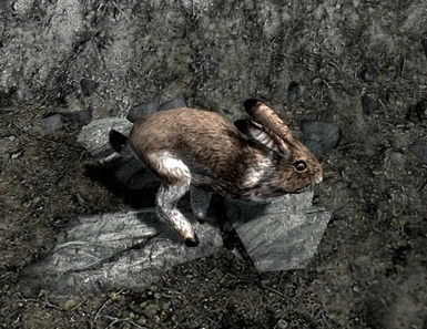 Polymorph NPC into a Rabbit