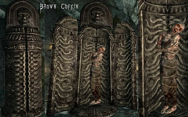 Brown Coffin