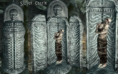Silver Coffin