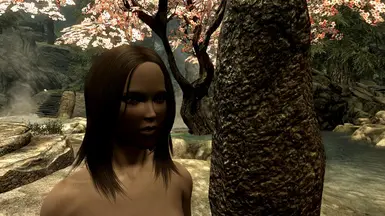 skyrim nexus