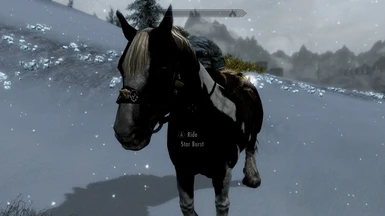 Star Burst- A player Horse