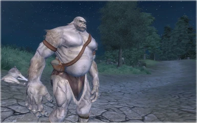How they look in Oblivion