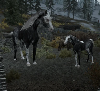 Foals of Skyrim - DELETED