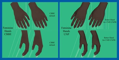 Feminine Hands