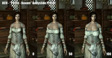 Included Bodyslide Preset